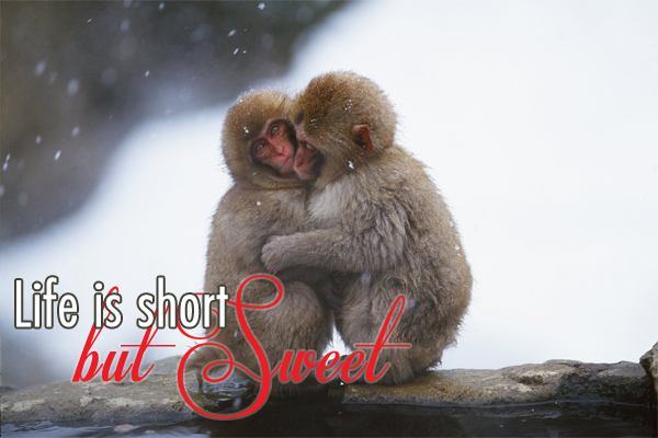 Life is short but sweet