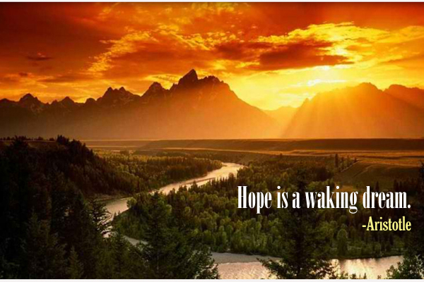 Hope is waking dream.