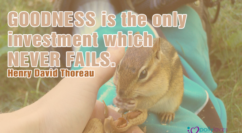 Goodness is the only investment which never fails