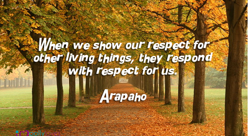 When we show our respect for other living things, they respond with respect for us