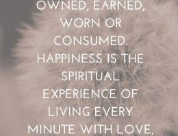 “Happiness Can Not Be Traveled To, Owned,Earned,Worn, or Consumed. Happiness Is The Spiritual Experience Of Living Every Minute With Love, Grace and Gratitude”