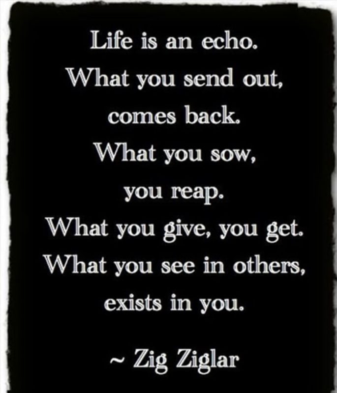 ziglar life quotes